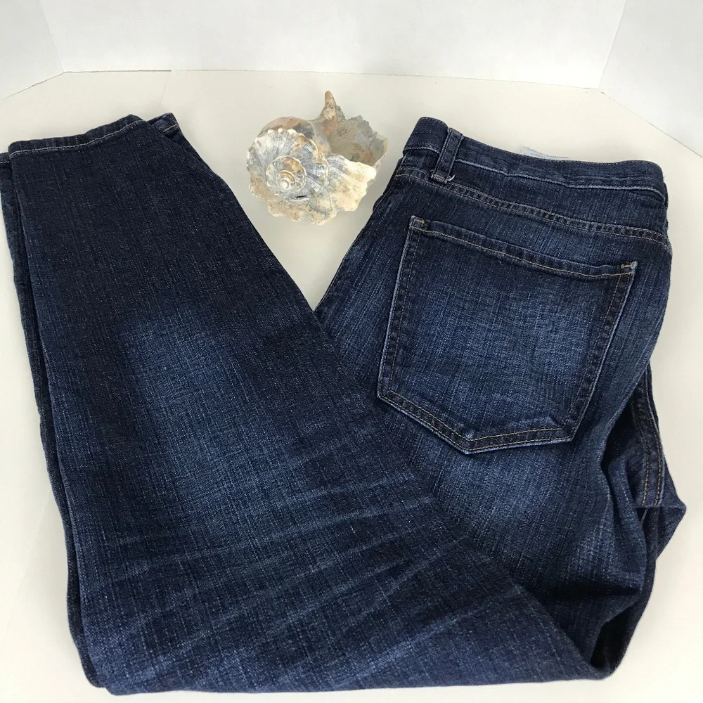 BANANA REPUBLIC Sz 27 Straight Boyfriend